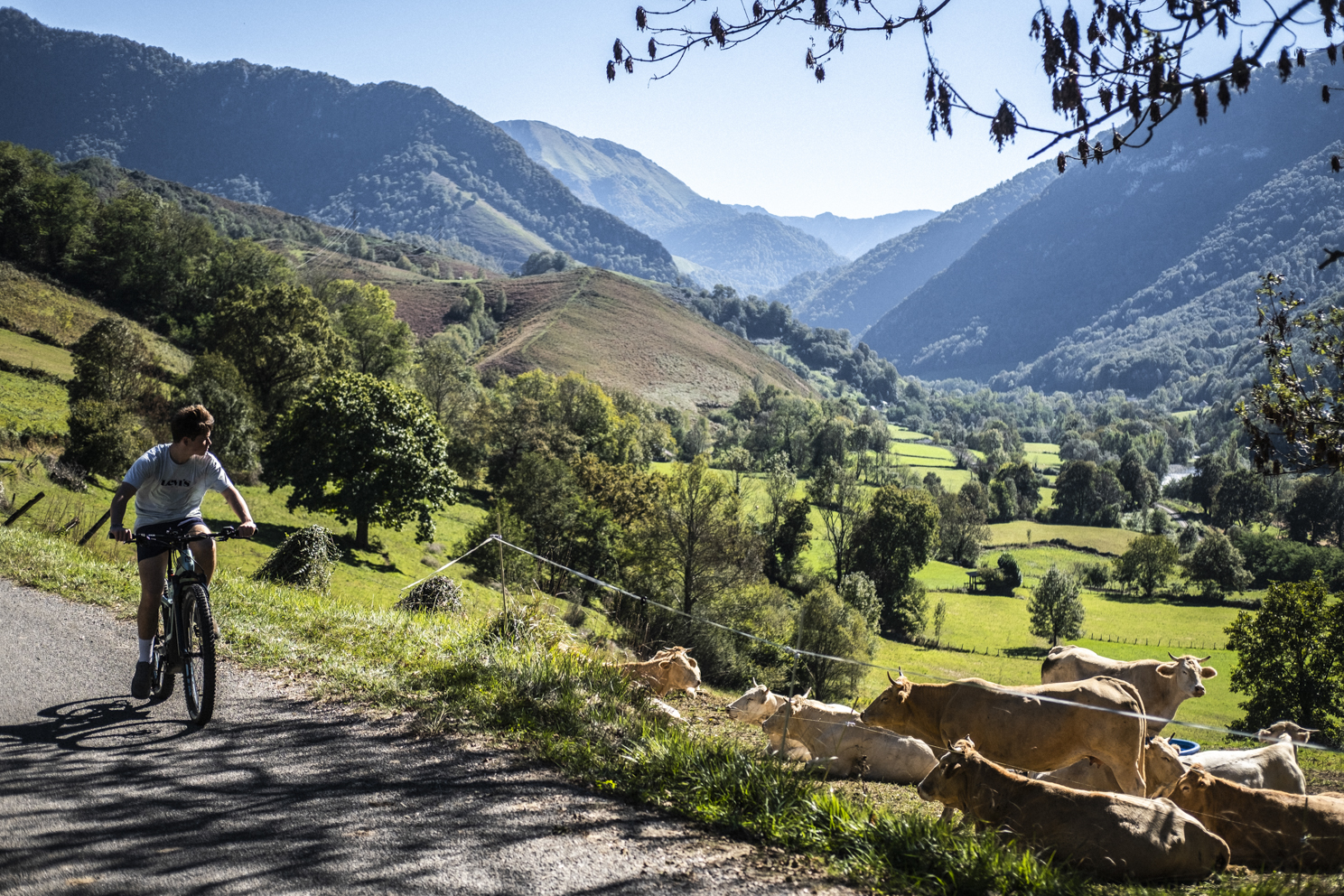 balade à vélo au col de marie blanque, en vallée d'ossau, dans le Béarn Pyrénées