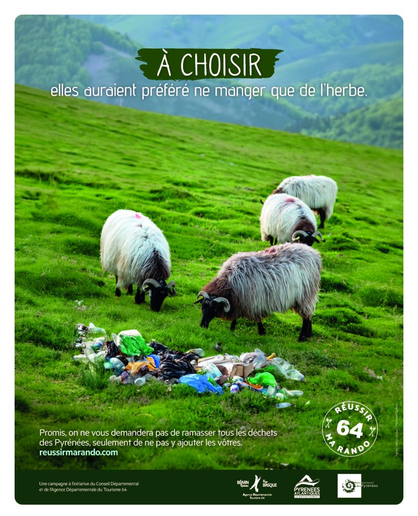 affiche de l'opération réussir ma rando où l'on voit 2 brebis en estive qui mangent des déchets laissés par des randonneurs peu scrupuleux