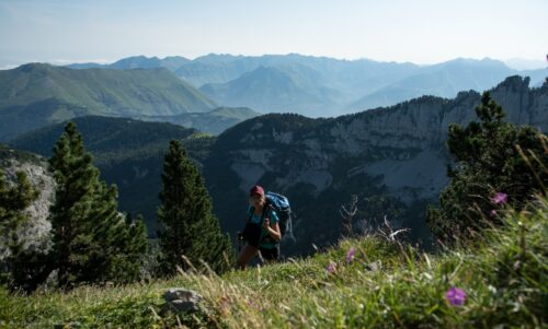 Itinérance : état des lieux, tendances et prospective