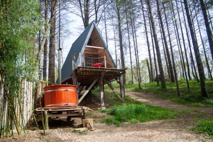 les cabanes de roquehort en pleine forêt à salies-de-béarn