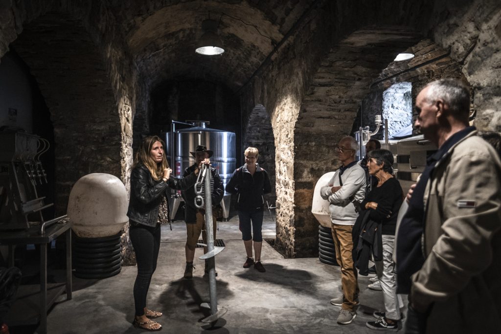 visite chez egia tegia à ciboure, vinification sous-marine, en pays basque